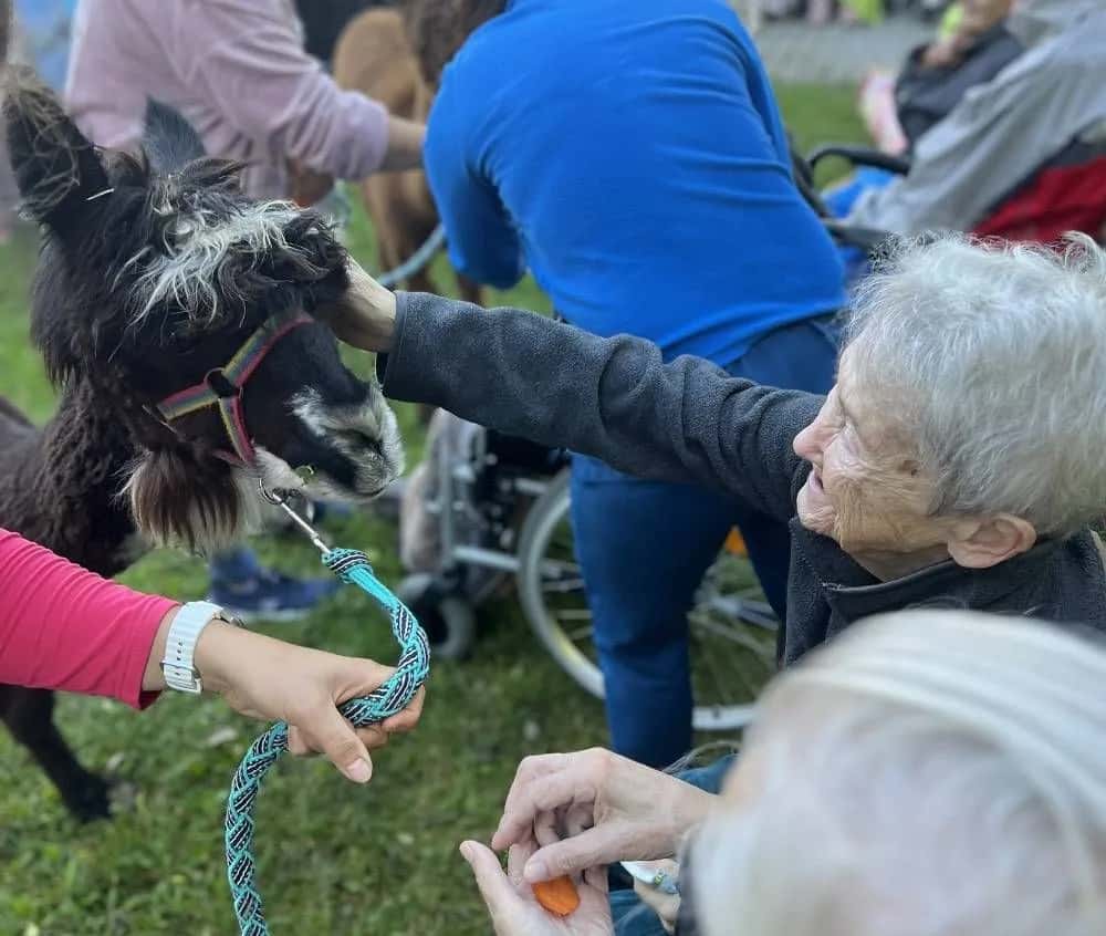 Noworudzkie Centrum Geriatryczne Senior